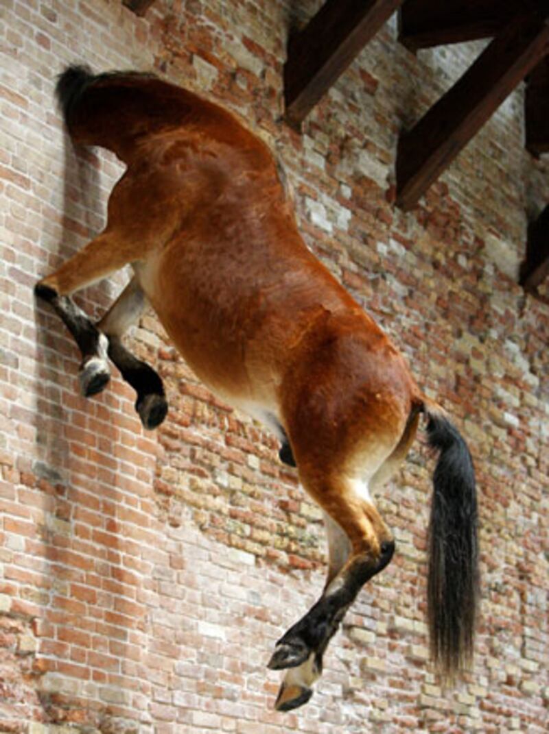 galleries/2009/06/04/pinault-collection-treasures/pinault-11_gevpj2