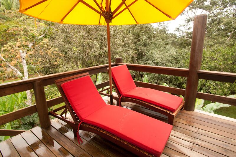 galleries/2013/06/30/sleep-like-a-monkey-nine-highflying-tree-house-hotels-photos/130624-the_-lodge-at-chaa-creek-slide7_f4itt2