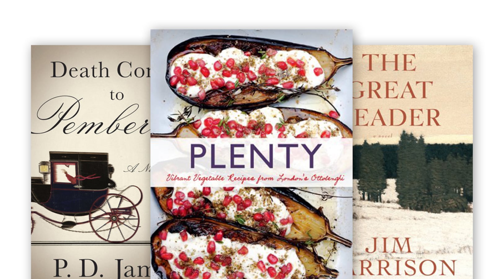 articles/2011/12/14/live-chat-best-books-to-give-for-the-holidays/books-live-chat_muelze