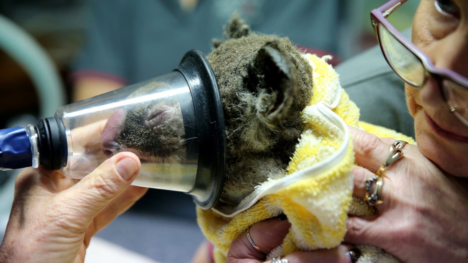 GettyImages-1185446478_yuy83k