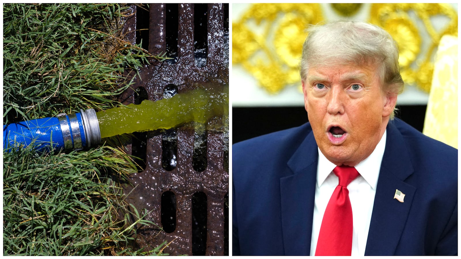 Donald Trump and green water being pumped at the Lincoln Memorial Reflecting Pool.