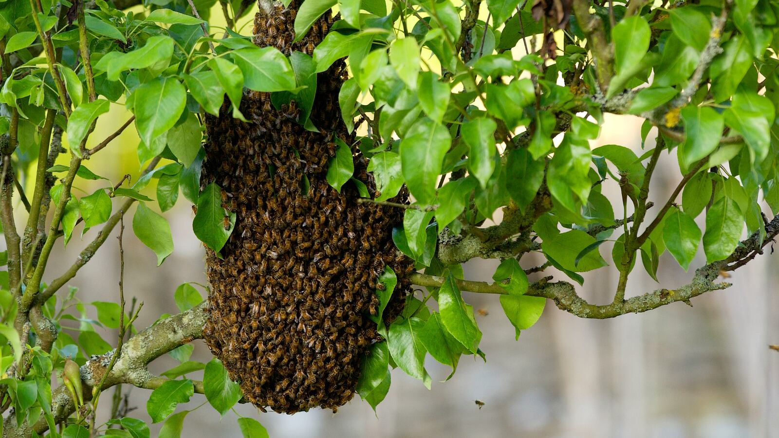 GettyImages-53043118_tg3lxl