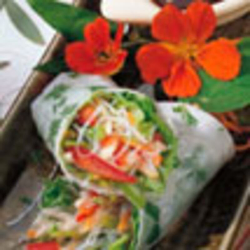articles/2010/01/12/what-to-eat-southeast-asian-menu/what-to-eat---spring-rolls-3_hwekyi