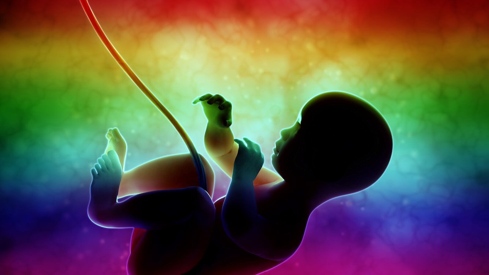 articles/2015/04/26/the-scholars-and-lawyers-who-believe-gay-marriage-causes-abortion/150425-candida-marriage-abortions-tease_btisxe