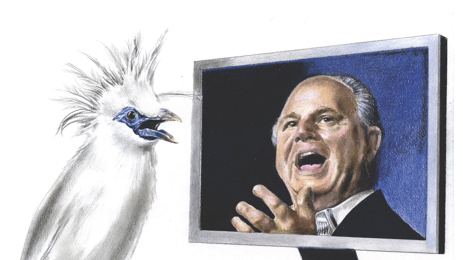 articles/2013/10/16/a-lexical-life-raft-for-the-government-shutdown/131015-word-birds-schillinger-tease_nip4qd