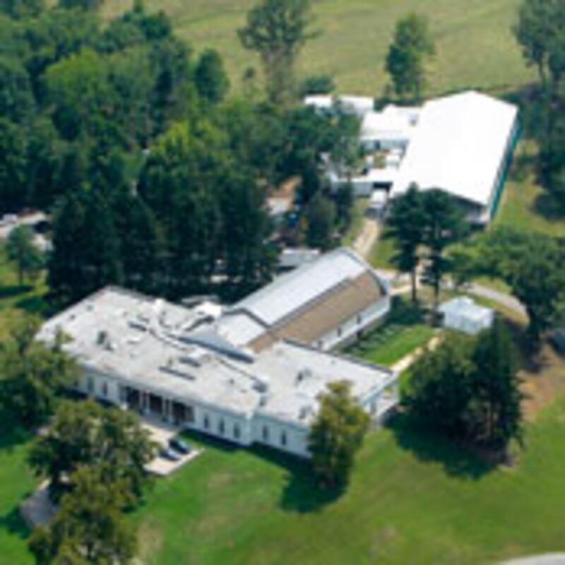 articles/2010/07/29/norwegian-journalists-arrested-chelsea-clintons-wedding/bernstein-clinton-wedding_116772_jxf4i3