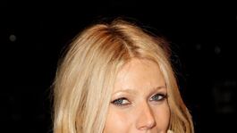 cheats/2009/04/16/who-was-paltrows-frenemy/gwyneth-paltrow_hcupdd