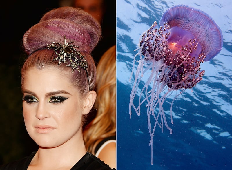 galleries/2013/05/07/met-gala-2013-guests-who-looked-like-animals/130507-gal-gala-animal-osbourne_fizhqi