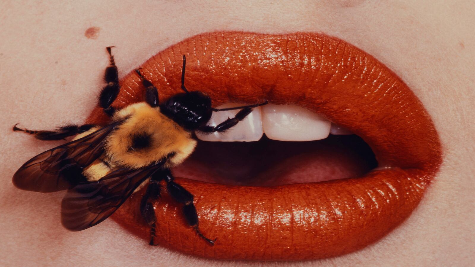 articles/2016/06/15/bees-trash-and-cigarette-butts-irving-penn-s-passions-beyond-fashion/160610-Irving-Penn-Fashion-tease_iypfqn