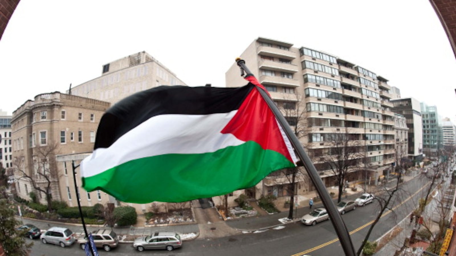 articles/2013/01/23/palestinians-cautious-on-lapid/palestine-flag-openz_nszpmd