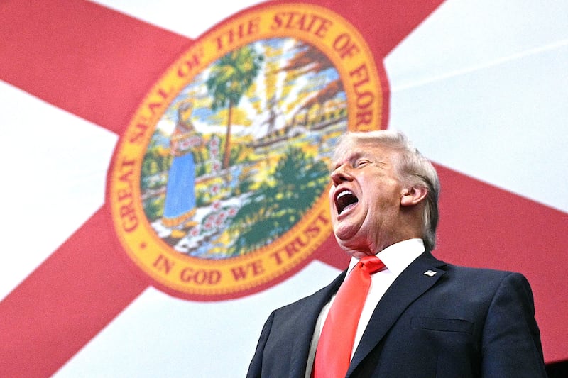 US President Donald Trump cheers supporters