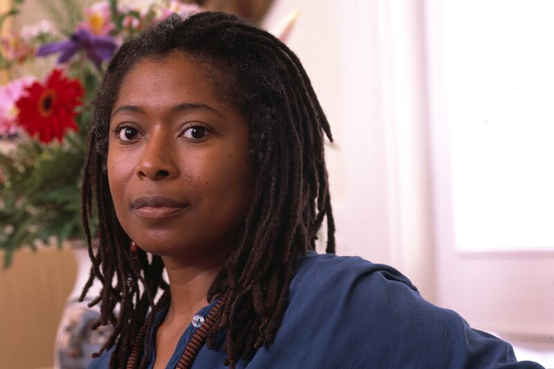 articles/2014/02/03/new-alice-walker-doc-delivers-good-medicine/140202-oyeko-alice-walker_ifdr5a