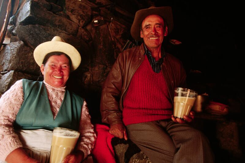 galleries/2012/10/06/the-world-s-weirdest-alcohol-model-booze-pizza-beer-more-photos/chicha-weird-alcohol_p1ofif