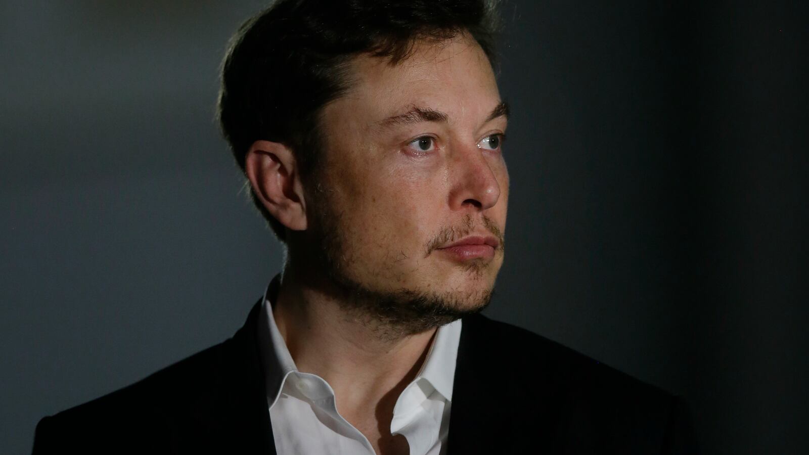musk_shnyjs