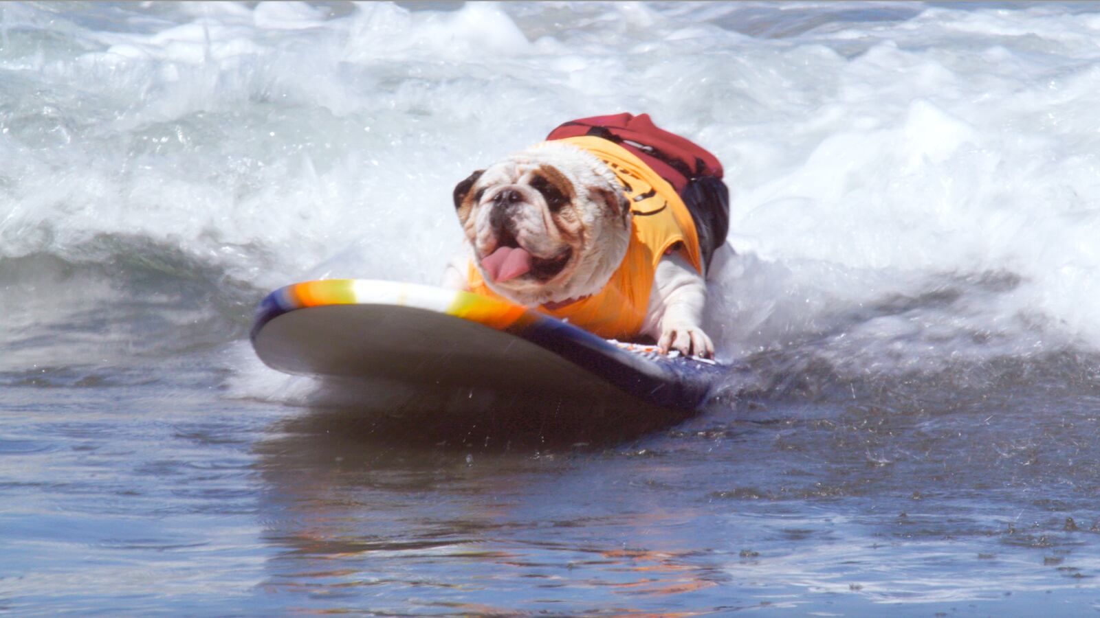 Screen_Shot_2021-04-30_at_2.45.34_PM_xslgl4