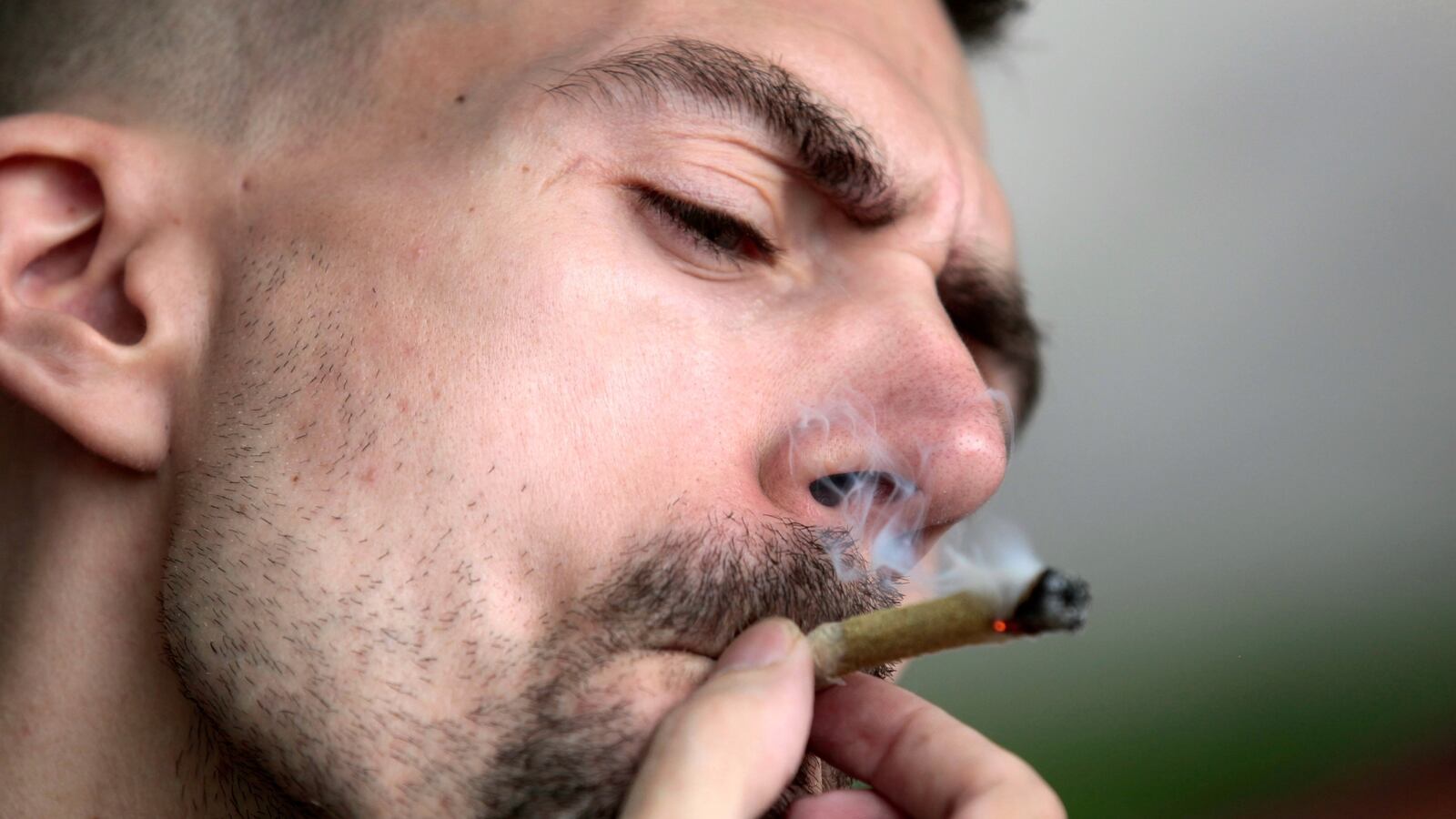 cheats/2015/10/21/marijuana-use-doubles-in-past-12-years/151021-weed-cheat_lfhkvh