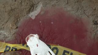 cheats/2010/07/04/gang-violence-dominates-mexico-vote/mexico-gang-violence_g0ac3c