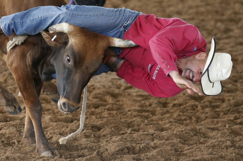 galleries/2015/05/24/arkansas-gay-rodeo-photos/150522-gay-rodeo4_fmq7to