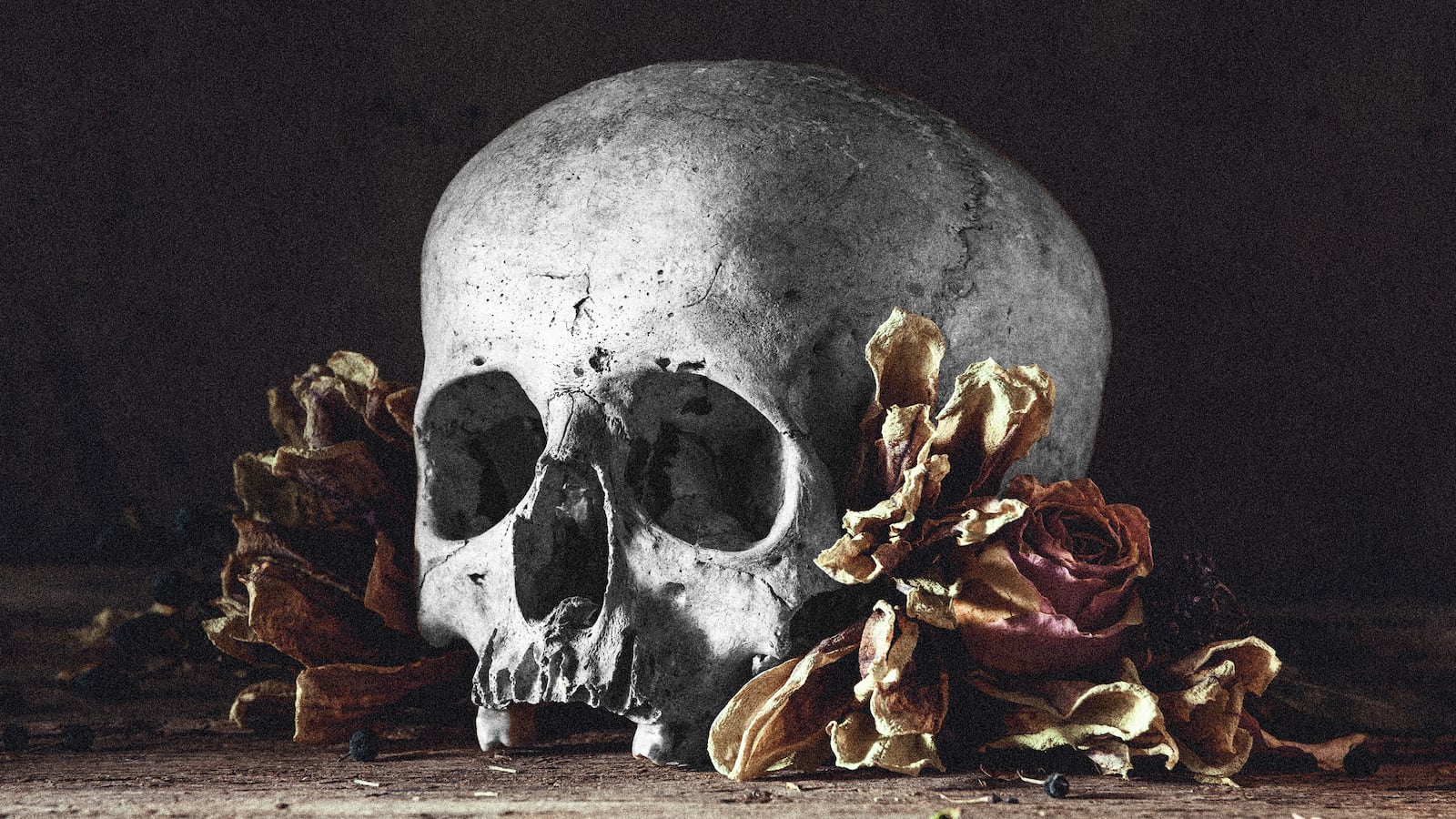 220506-poison-garden-hero_xigfon