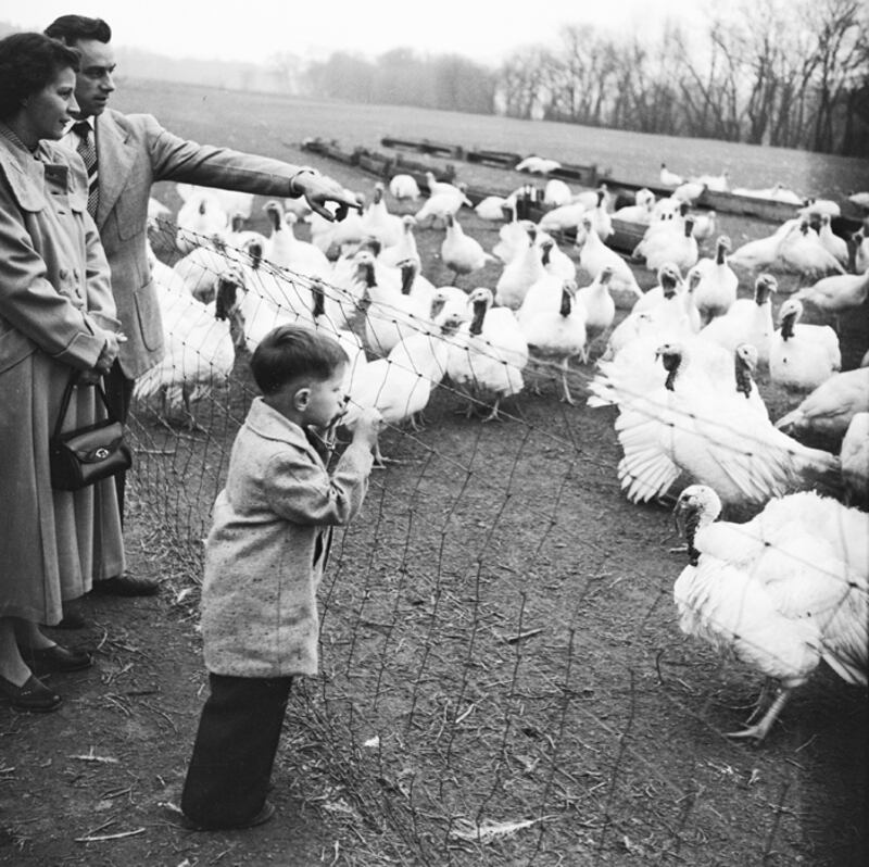 galleries/2010/11/24/classic-thanksgivings/classic-thanksgiving---17_wom0fd