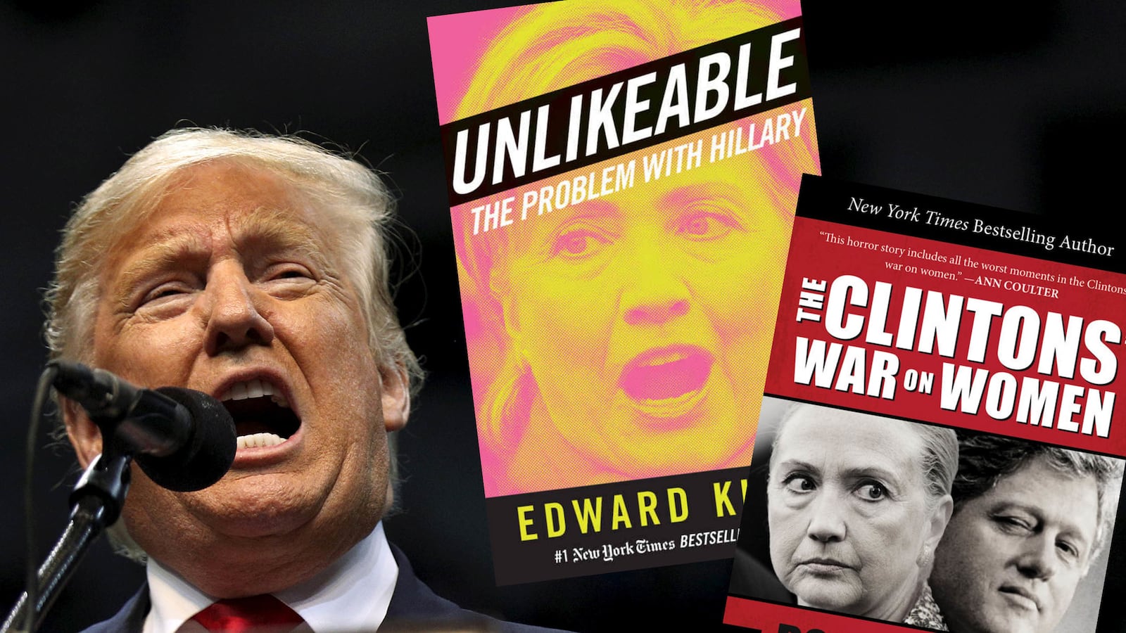 articles/2016/05/13/hillary-hate-fan-fiction-feeds-trump/160512-nuzzi-sleeze-bibles-tease_xf8hhg