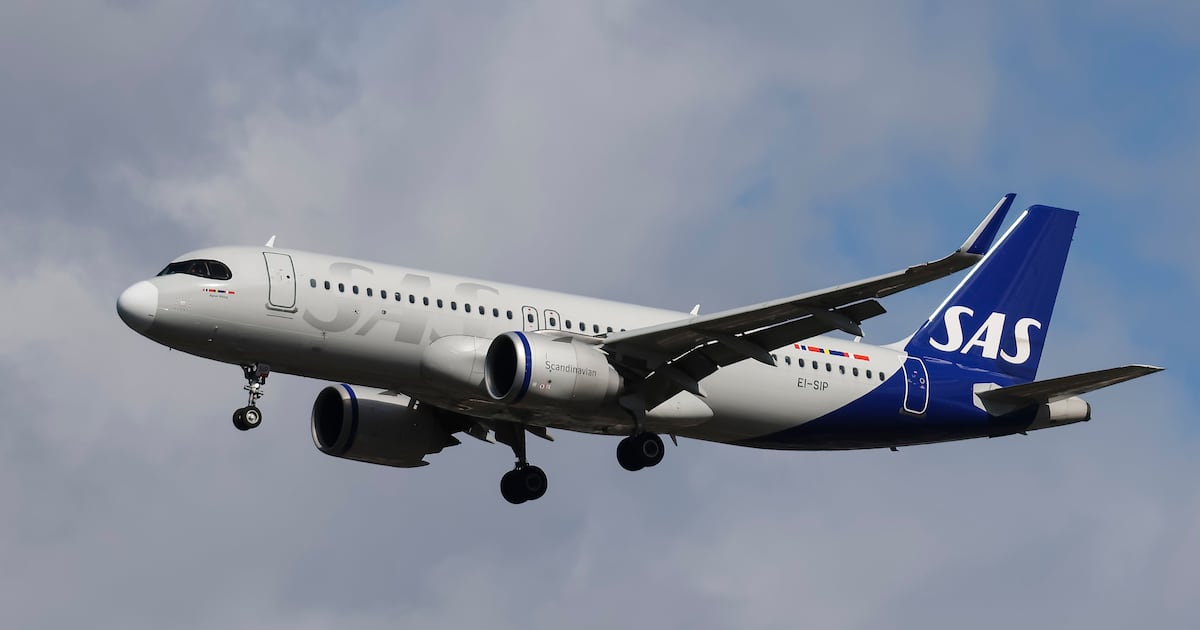 Passenger Plane Forced to Turn Around Due to Tiny Stowaway