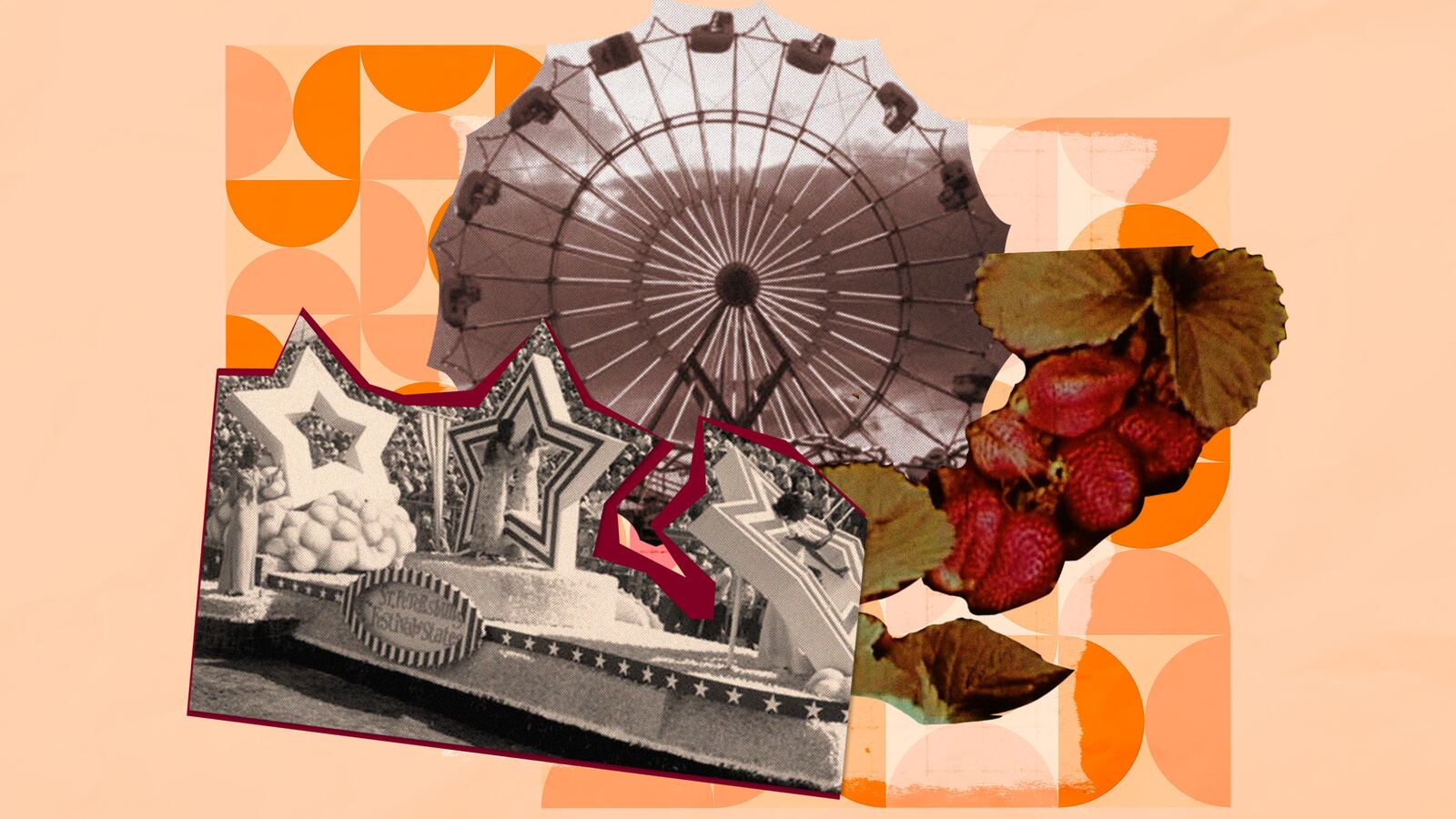 230623-hull-through-the-groves-hero_abnxvh