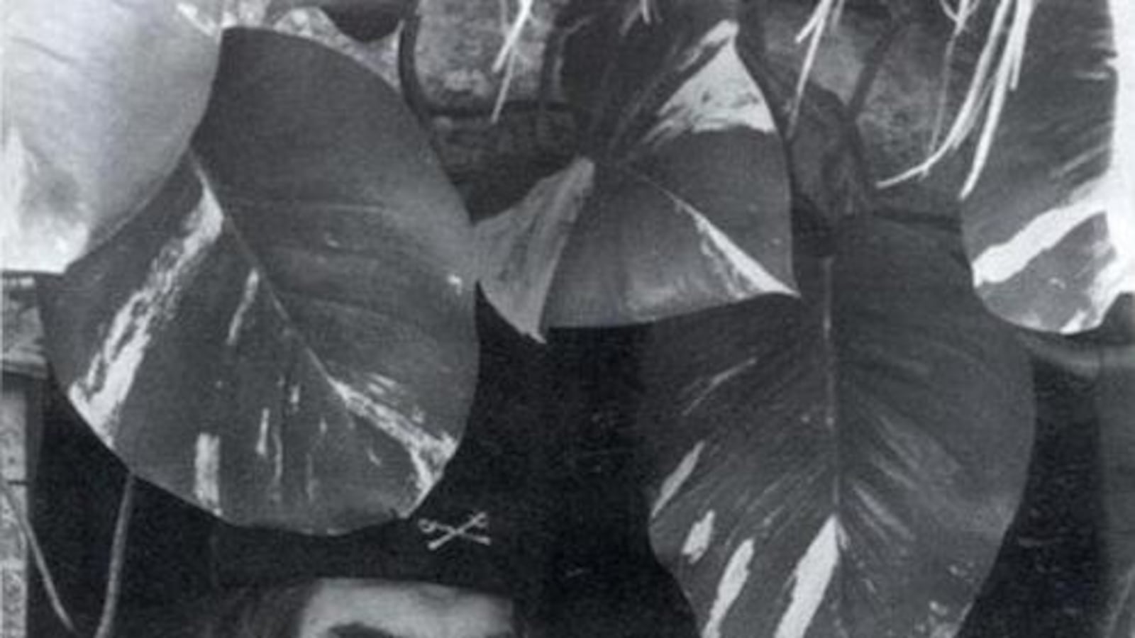 articles/2013/04/29/che-guevara-loser/che-guevara-loser-image_imgc1g