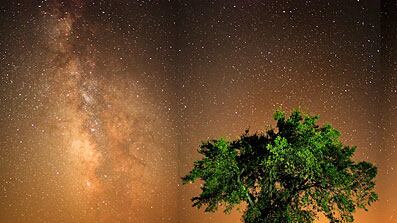 articles/2010/07/17/visiting-the-flint-hills-kansas-for-brisket-and-riding/summer-food-kansas_112300_fbdvqi