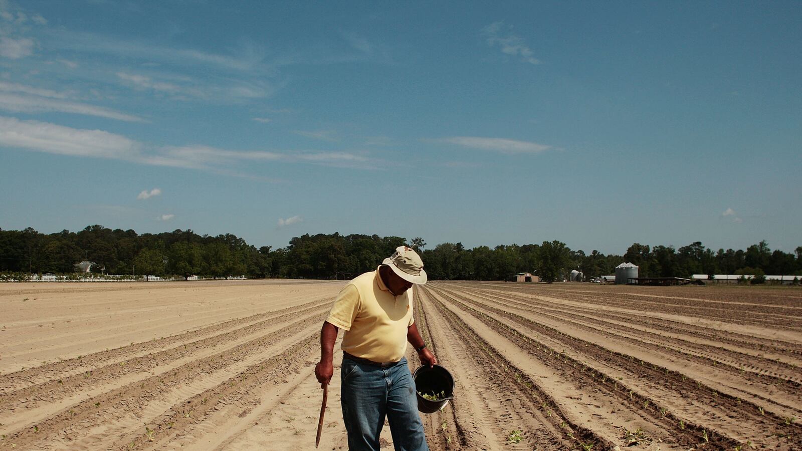 articles/2013/02/21/the-south-s-original-sin/the-south-s-original-sin-image_wc5vmt