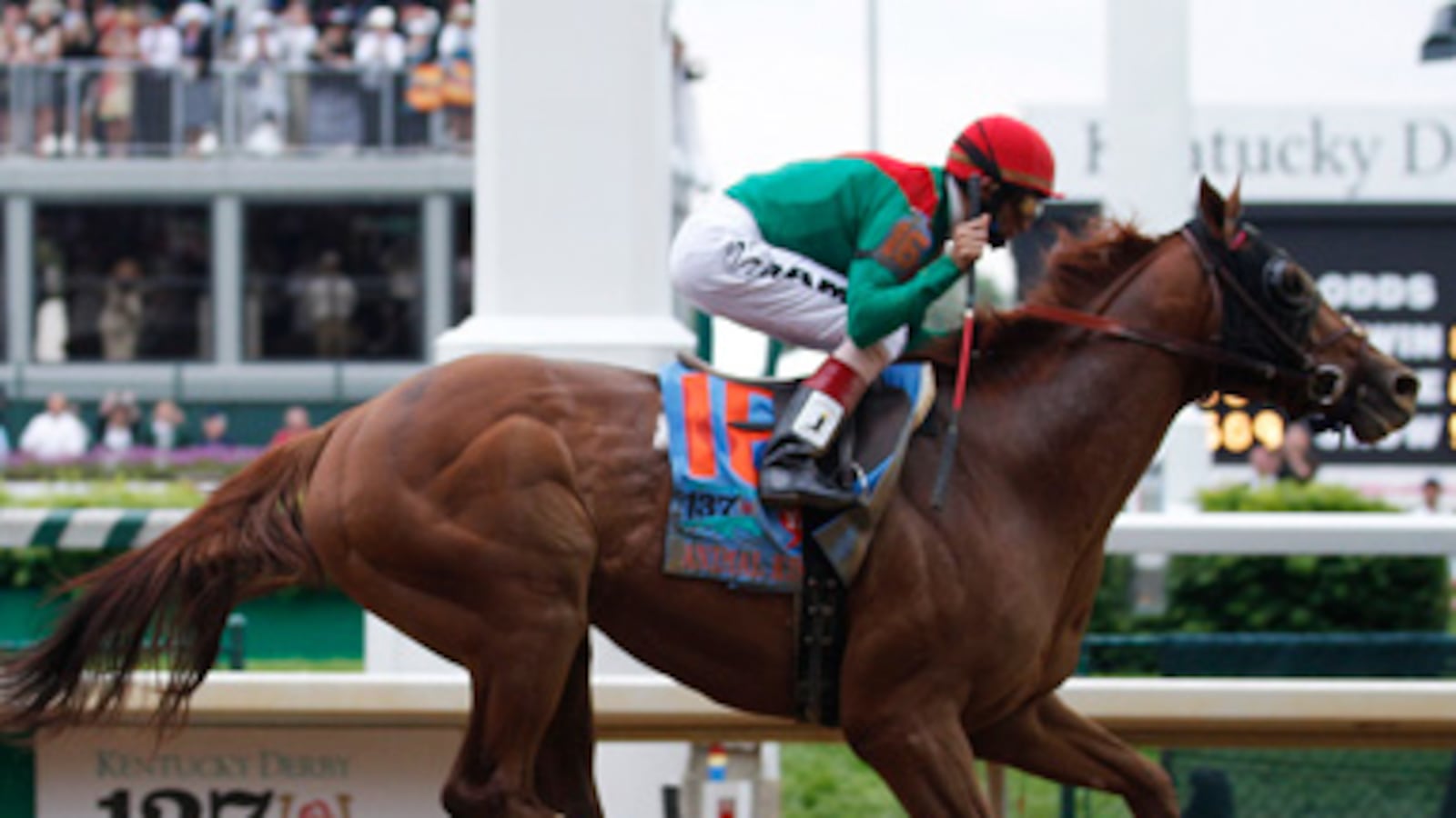 cheats/2011/05/07/animal-kingdom-wins-kentucky-derby/animal-kingdom_ekkggm