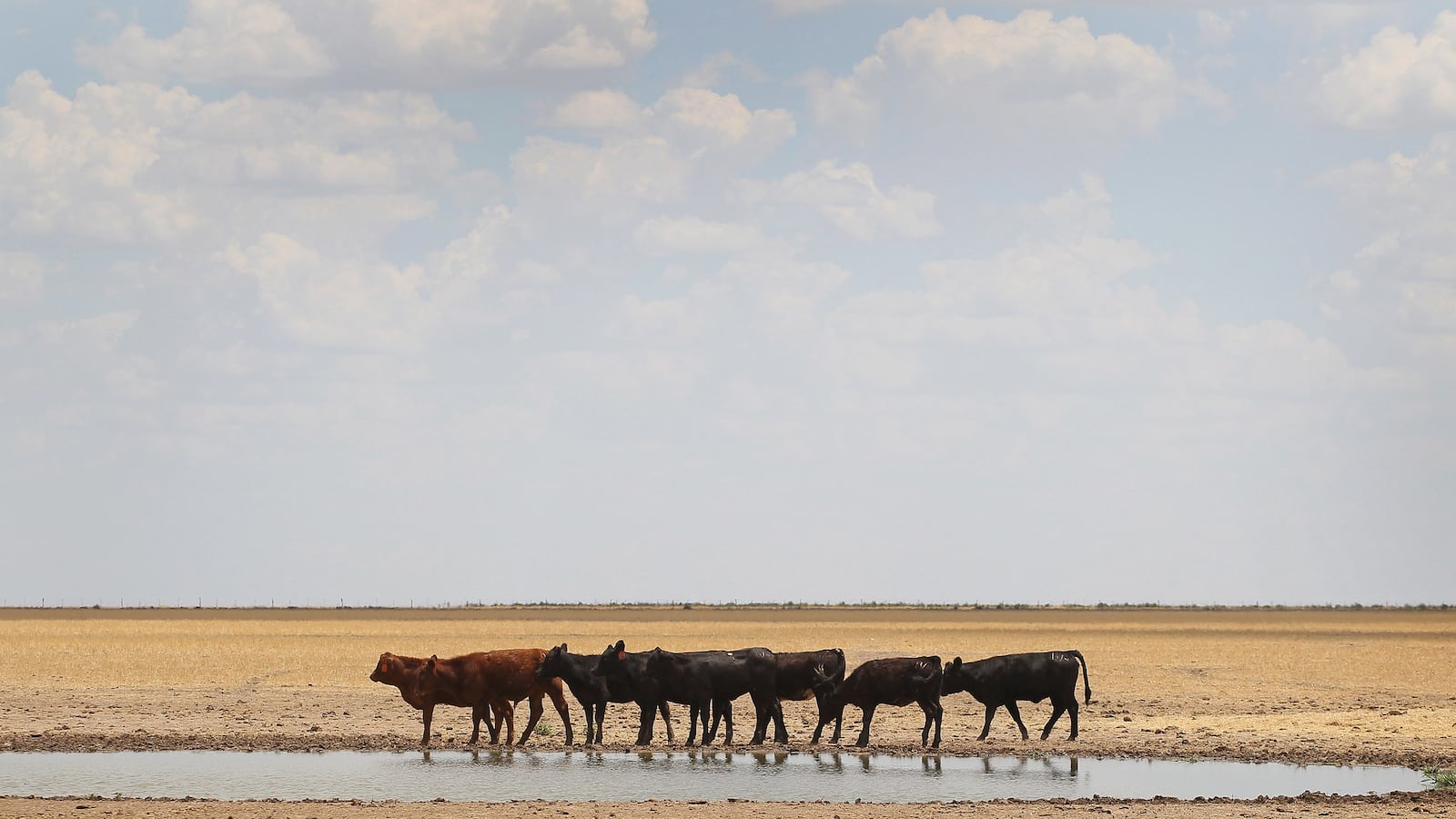 articles/2013/05/08/a-useful-tom-friedman-column/a-useful-tom-friedman-column-image_xgumeo