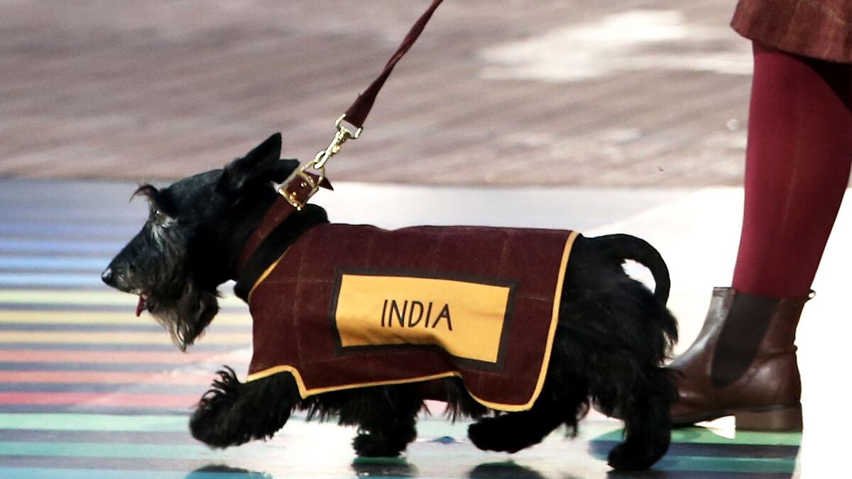 articles/2014/07/29/scottie-dogs-at-games-disrespectful-of-muslims/scottie_gxxygv