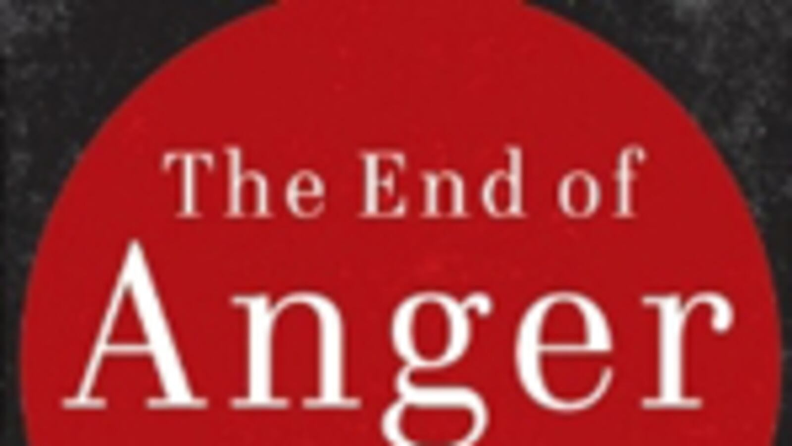 articles/2011/05/23/african-americans-are-optimistic-despite-economic-crisis-polls-find/book-cover---the-end-of-anger_ergipa