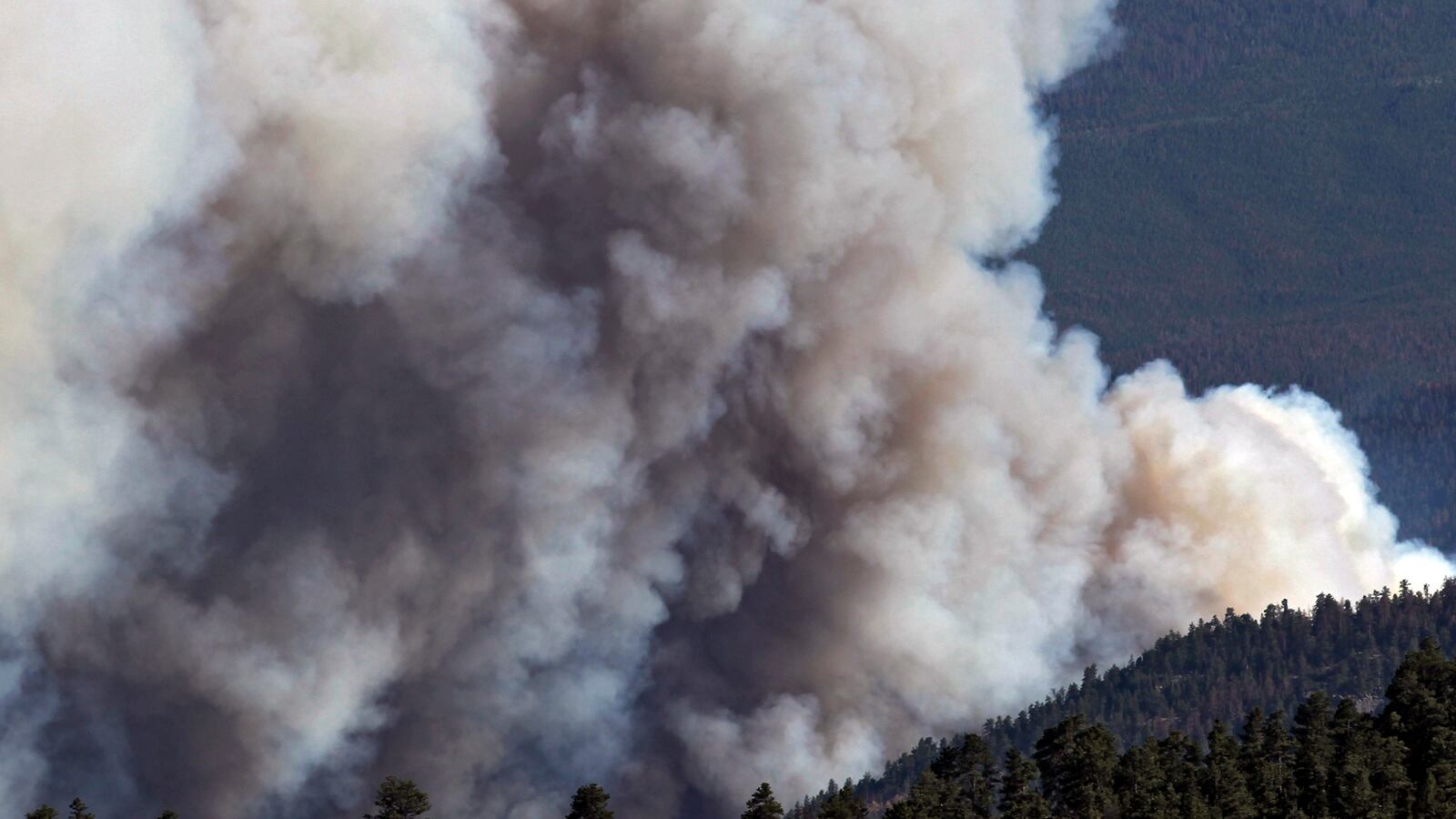 cheats/2012/06/19/high-park-fire-burns-59-000-acres/high-park-fire-co-cheat_ouyjcc