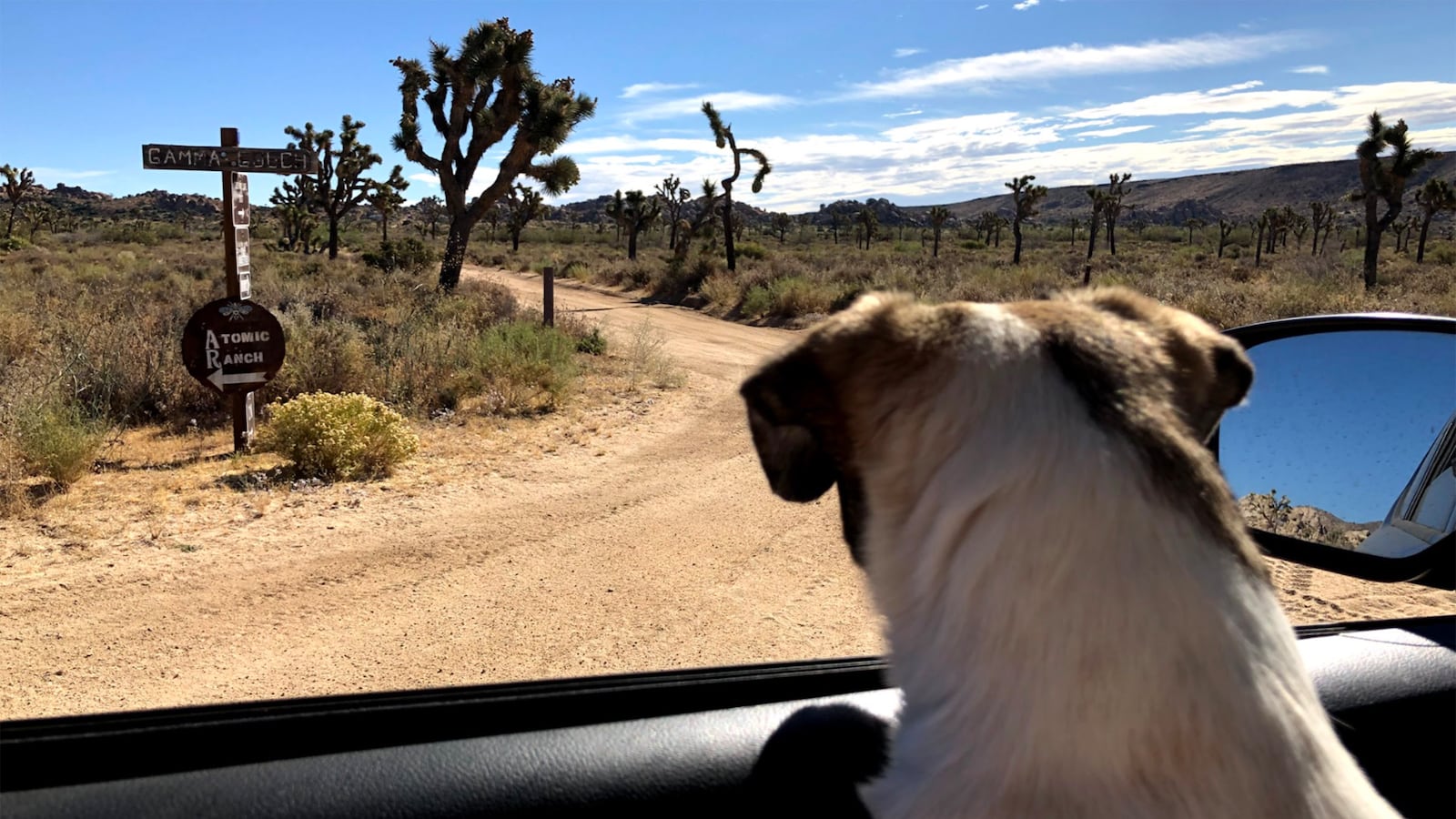 210212-nguyen-vday-getaway-tease_hsu0me