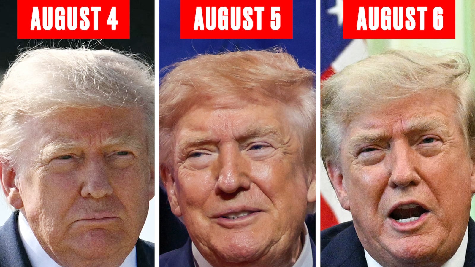 Comparison of Trump's hair.