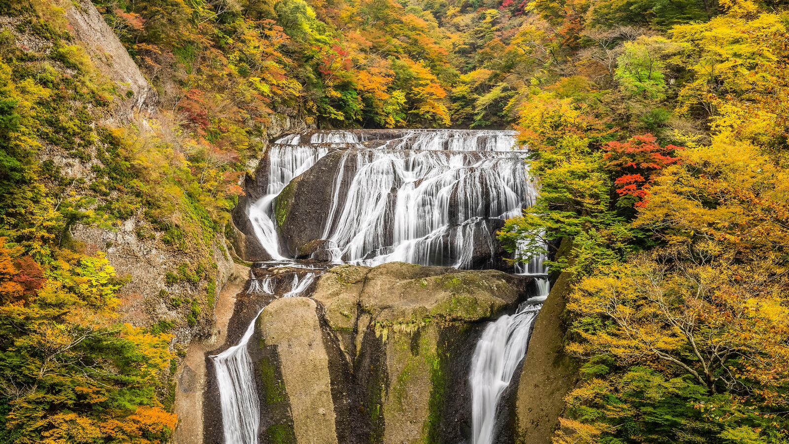 190521-adelstein-japan-tease_oveeaw