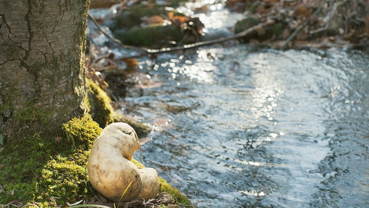 articles/2013/04/19/elli-chung-at-julie-saul-is-the-daily-pic-by-blake-gopnik/chung-daily-pic_nuqqtj