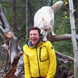 181209-plummer-wolves-tease_wq8afr