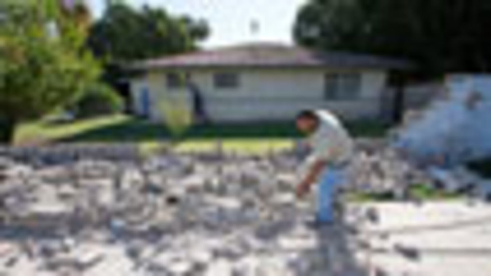 cheats/2010/04/05/natural-disaster-status-for-baja-quake/earthquake_a8saib
