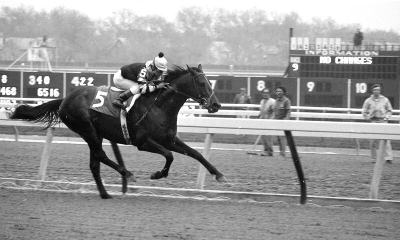 galleries/2015/04/14/dan-farrell-s-most-iconic-photos/150414-dan-ferral-08_xi8uqf