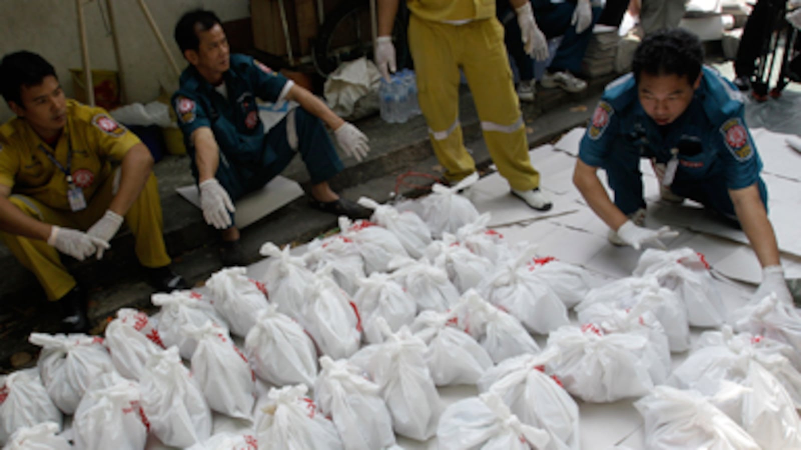 cheats/2010/11/19/1800-human-fetuses-discovered-at-temple/thailand-fetuses_s5e93u