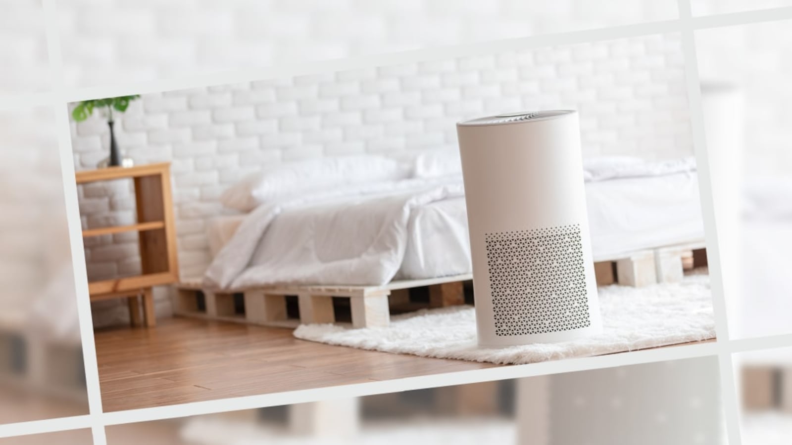 Best Purifiers for Allergies