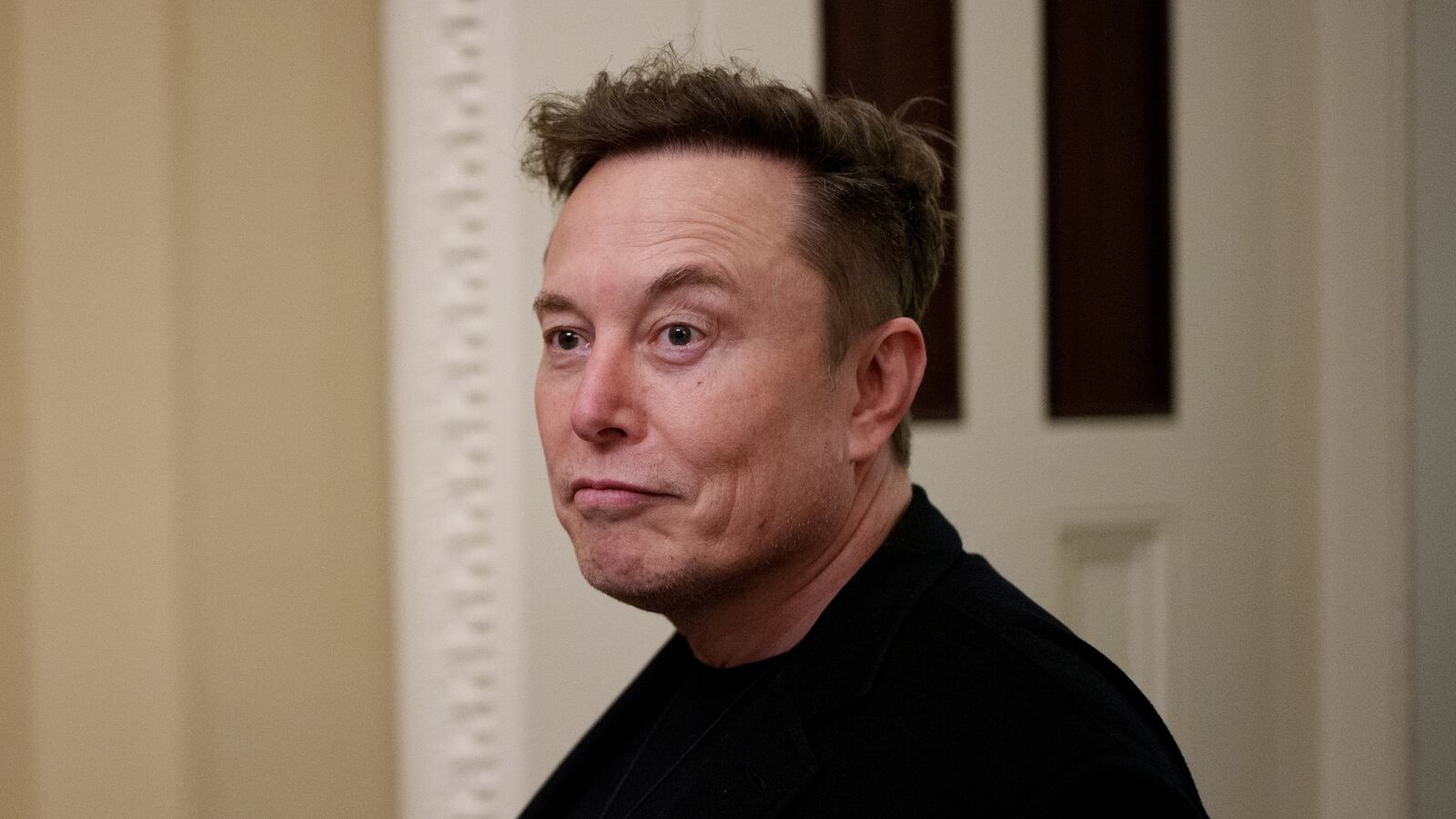 DOGE head Elon Musk.