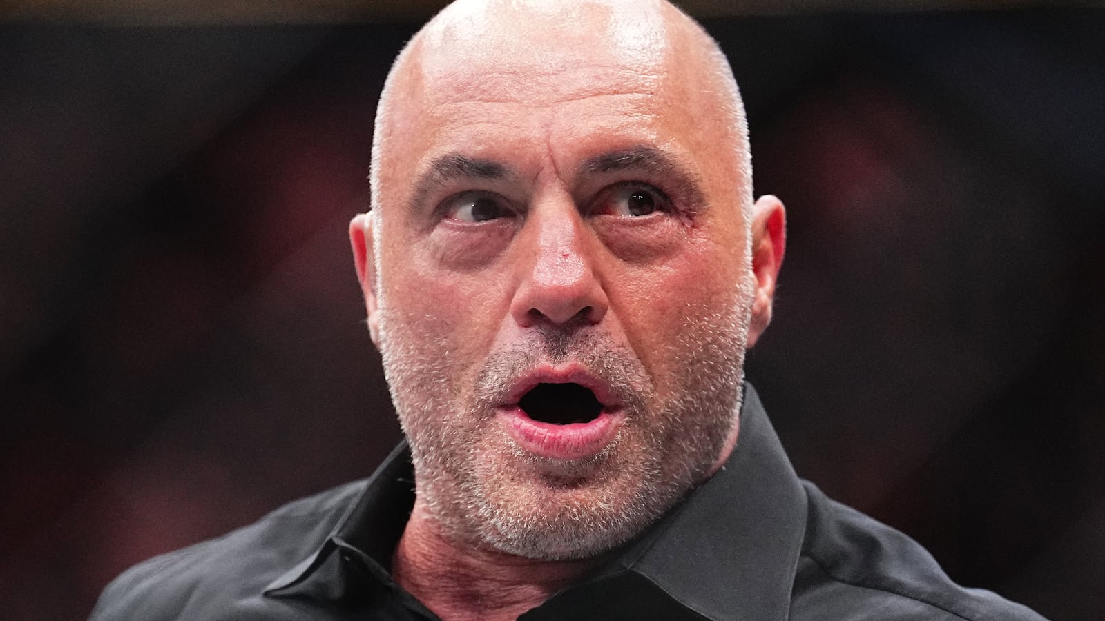 Joe Rogan reacts.