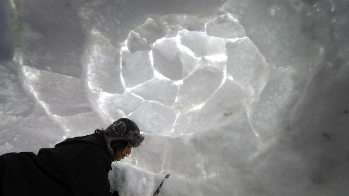 cheats/2012/01/24/occupy-davos-builds-igloos/occupy-davos-igloos-switzerland-cheat_fx5nuk