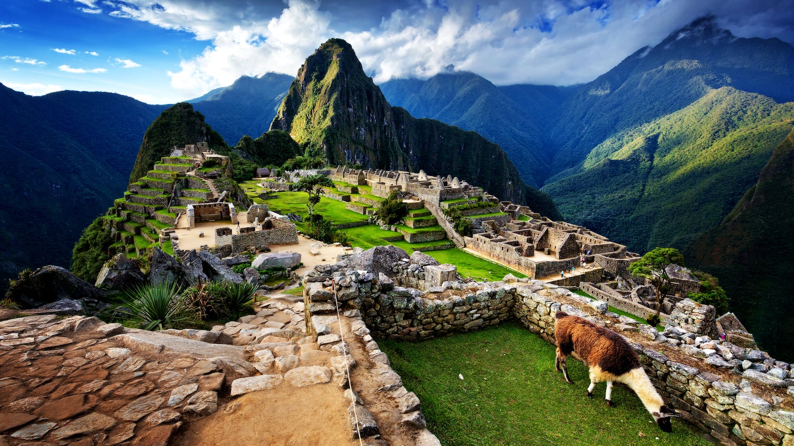 191213-Hamlett-Peru-sexual-awakening-tease_jt1hhs