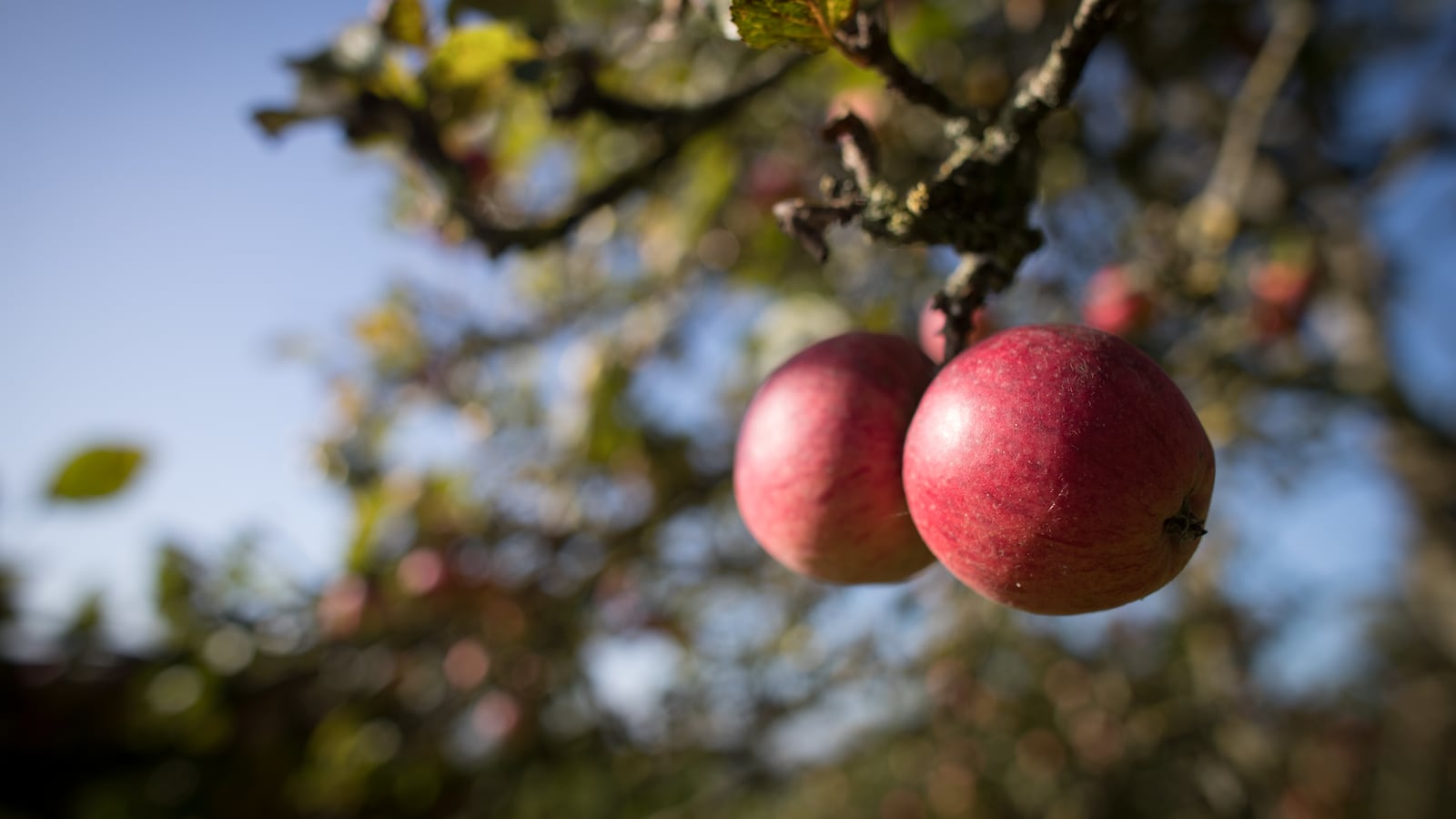 GettyImages-857038524_xpb6kb