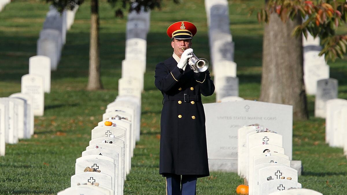 cheats/2011/11/13/hitchens-whose-fault-are-veterans-deaths/veterans-day-swofford_u7jktc